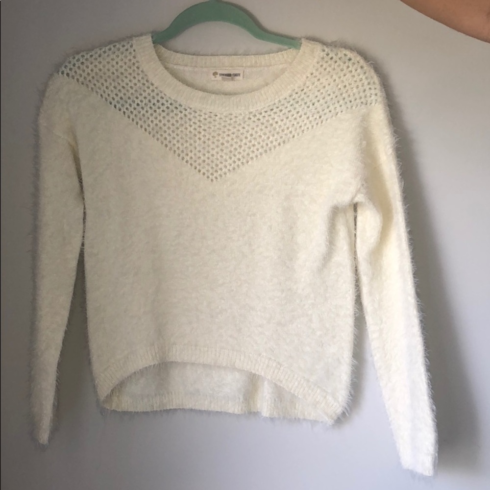 White Sweater cropped